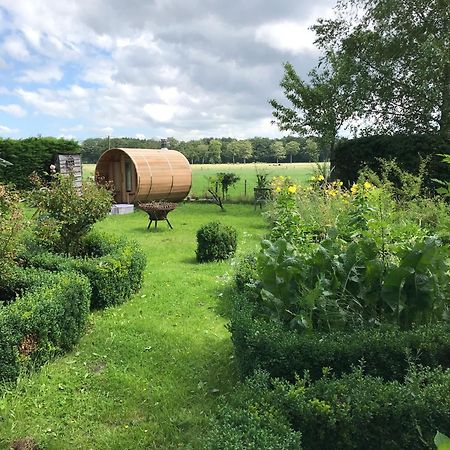 B&B Koornemoezen Zedelgem Exteriör bild