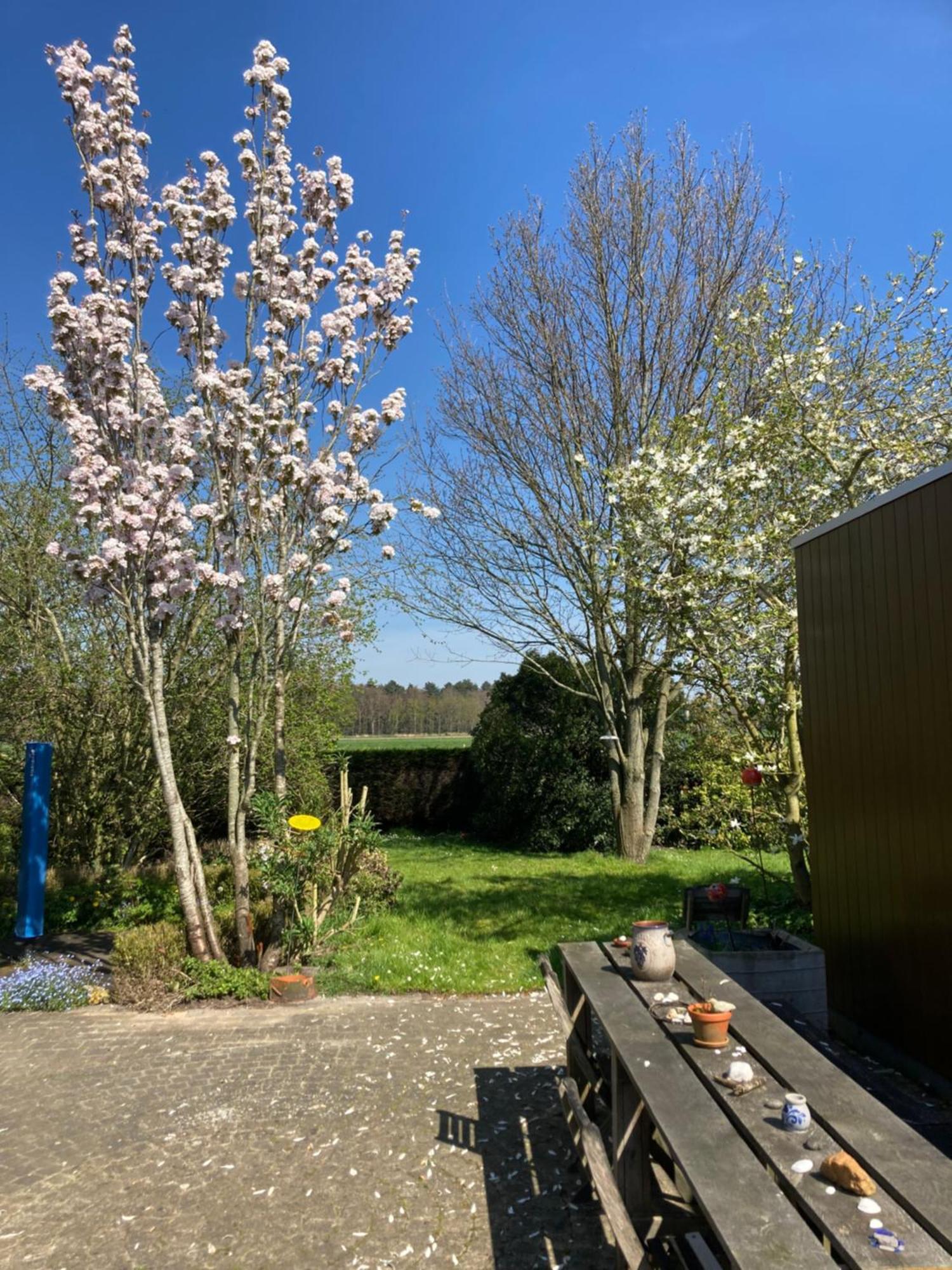 B&B Koornemoezen Zedelgem Exteriör bild