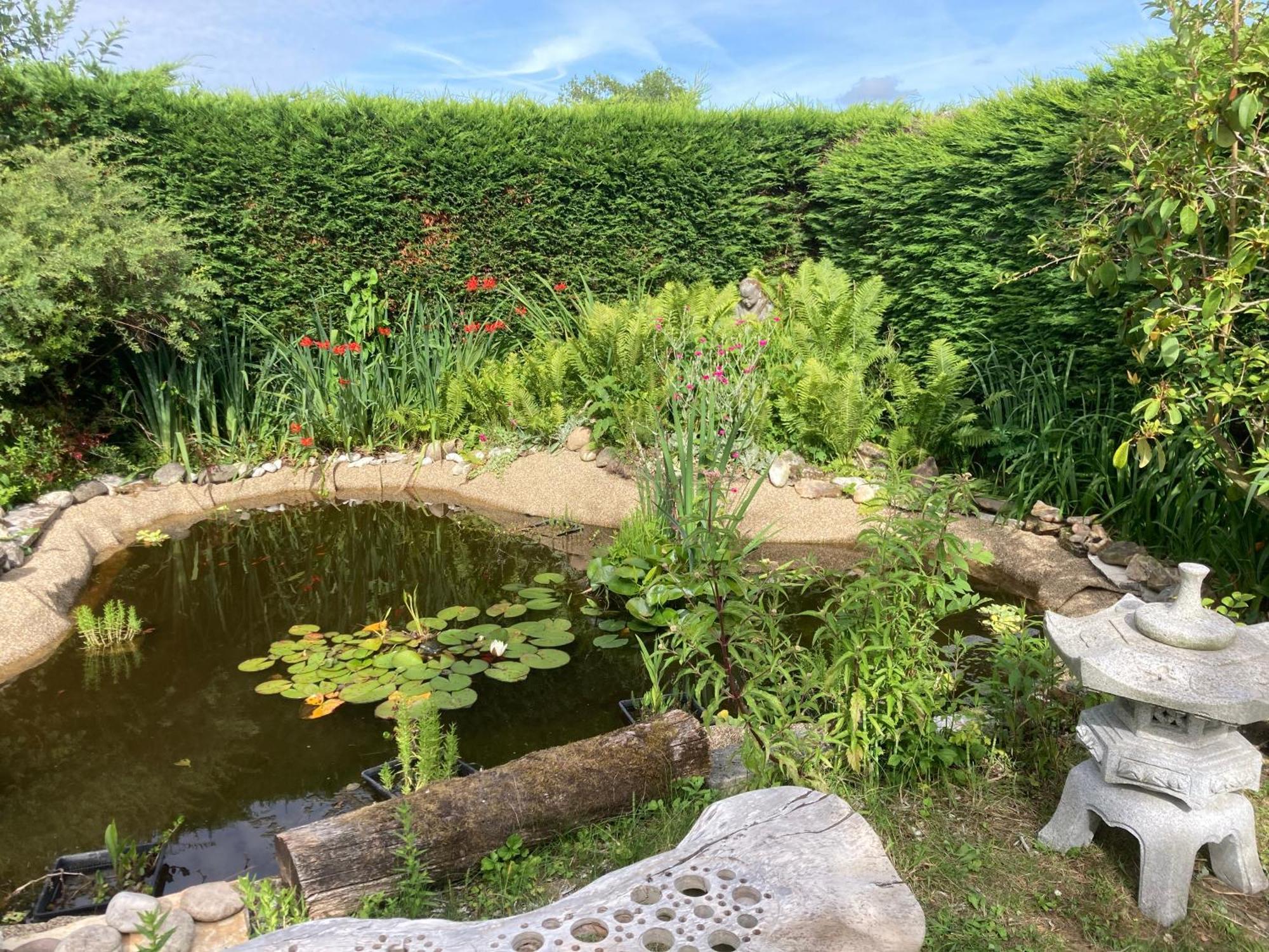 B&B Koornemoezen Zedelgem Exteriör bild