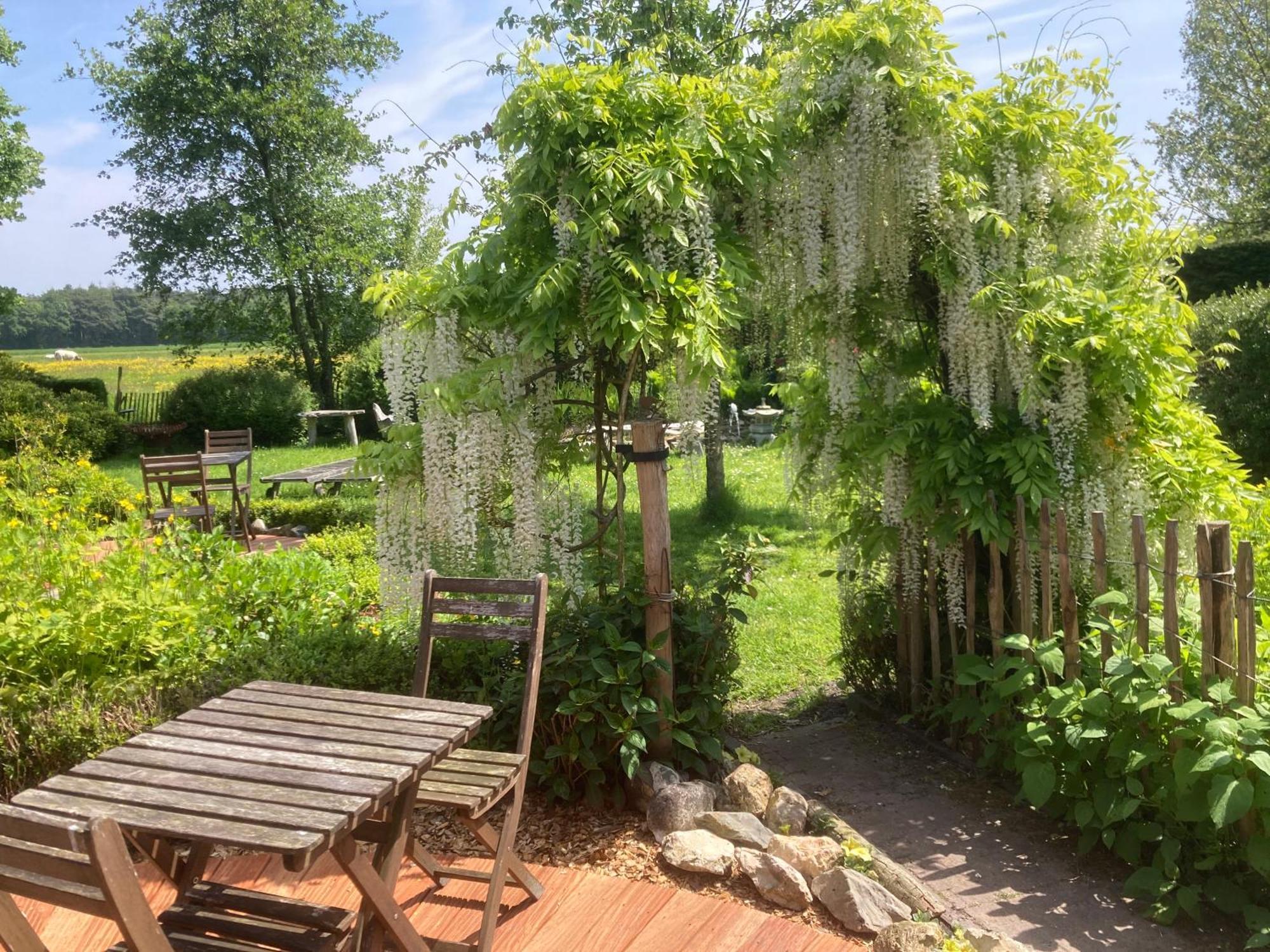 B&B Koornemoezen Zedelgem Exteriör bild